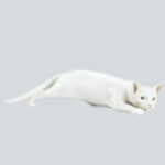フィギュリン猫