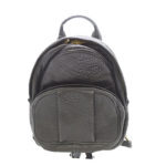 アレキサンダーワン DUMBO バックパック