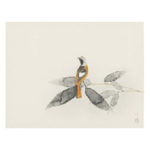 上村淳之 ウエムラ アツシ 紋鶲