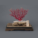 血珊瑚 原木置物