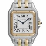 パンテール MM W2PN0007 ステンレス×イエローゴールド シルバー文字盤