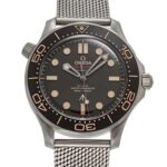 シーマスター ダイバー 300M コーアクシャル マスター クロノメーター 42MM 210.90.42.20.01.001007エディション