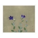 徳岡 神泉 トクオカ シンセン 桔梗