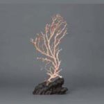 白珊瑚 置物